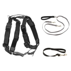 Discount PetSafe 3 in 1 Harness with Two Point Control Leash