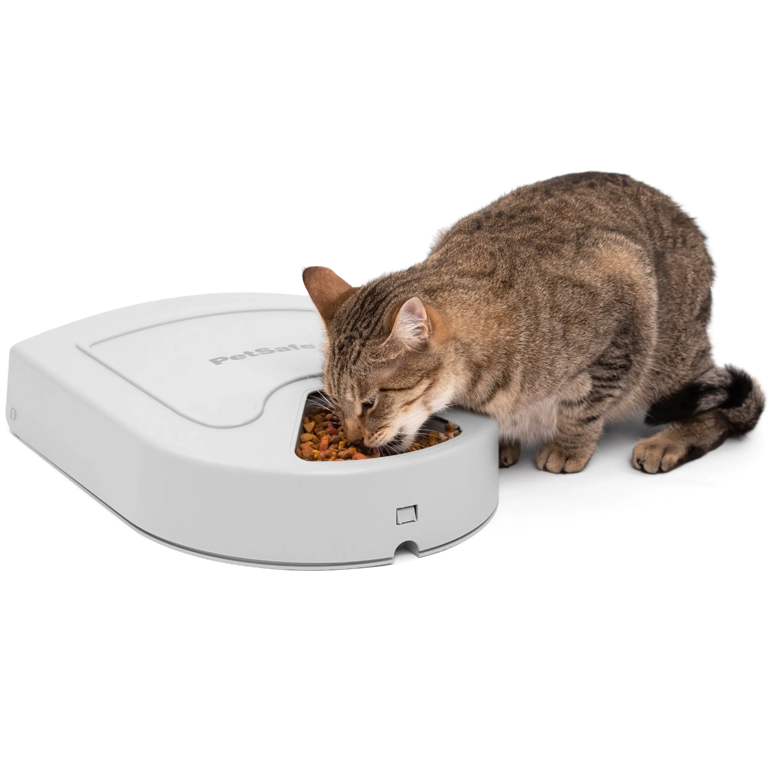 Fashion PetSafe 5 Meal Pet Feeder
