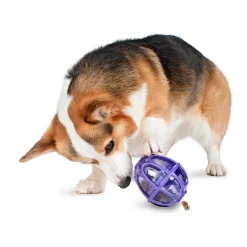 Fashion PetSafe Busy Buddy® Kibble Nibble™