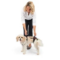 New PetSafe CareLift™ Support Harness