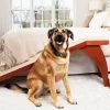 Hot PetSafe CozyUp™ Bed Ramp