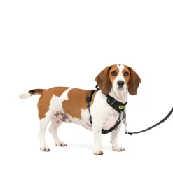 New PetSafe Easy Walk® Comfort No-Pull Dog Harness