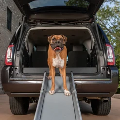 Best PetSafe Happy Ride® Compact Telescoping Dog Ramp