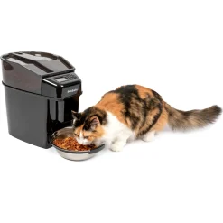 Best PetSafe Healthy Pet Simply Feed™