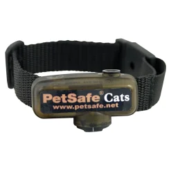 Online PetSafe In-Ground Fence™ Receiver Collar for Cats