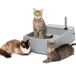 Store PetSafe Multi-Cat Litter Box