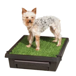 Discount PetSafe Pet Loo™ Pet Toilet