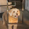 Cheap PetSafe Pet Screen Door