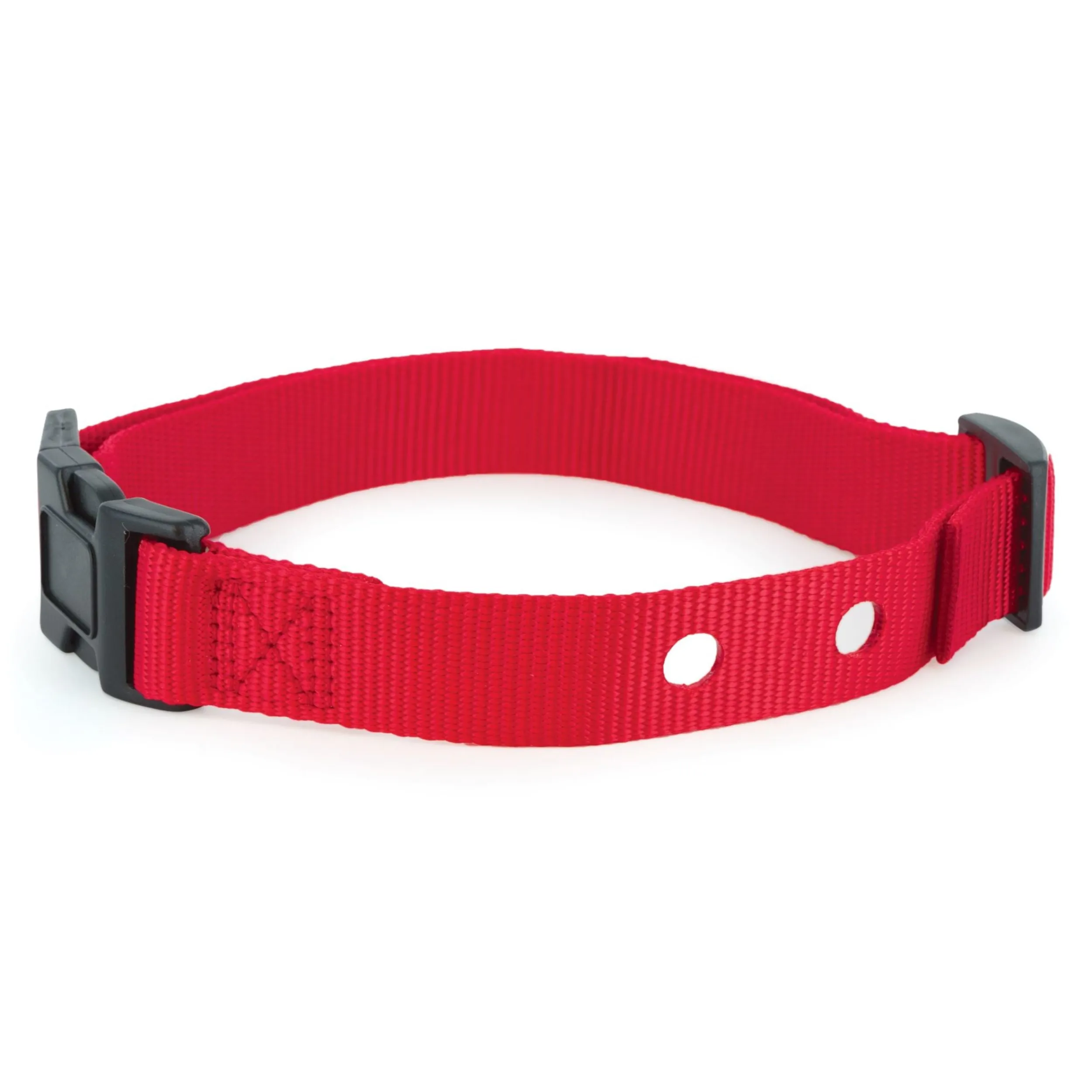 Best PetSafe Replacement Collar Strap with 2 Holes