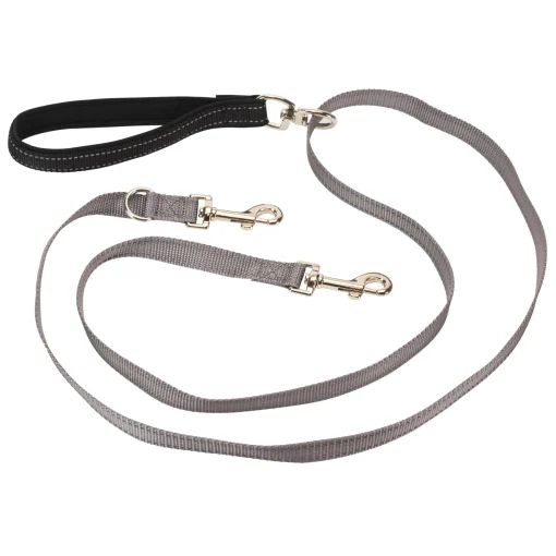Best PetSafe Two Point Control Leash - Joyful Pets